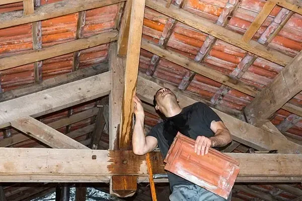Technician with a clipboard inspecting water-stained roof framing in an attic after a storm